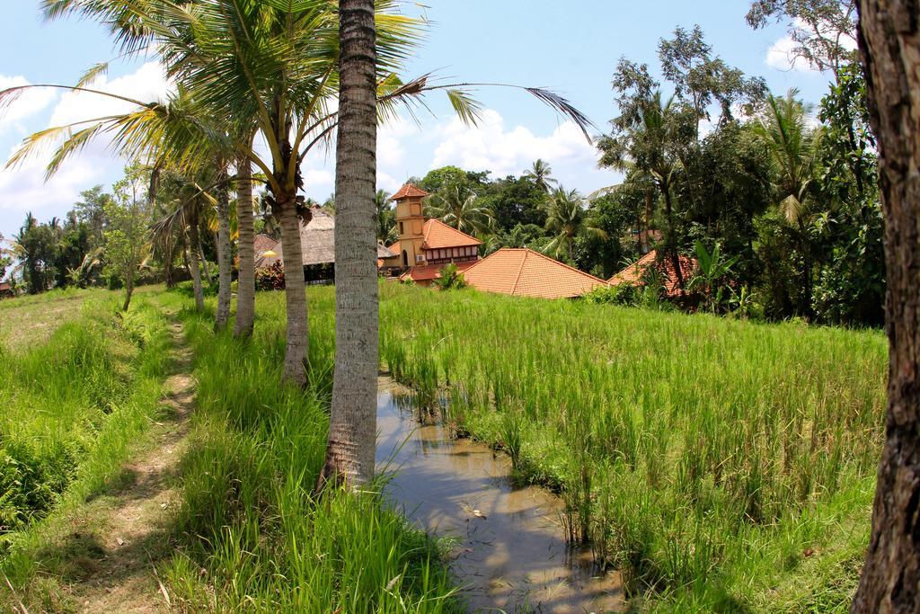 Hotel Villa Ubud 外观 照片
