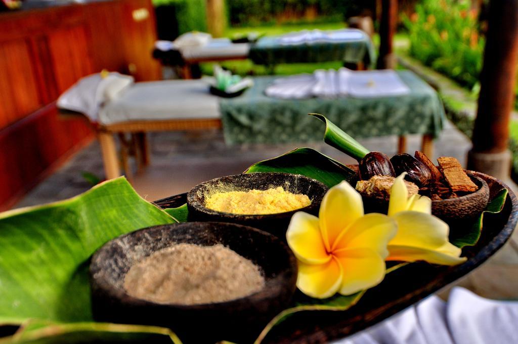 Hotel Villa Ubud 外观 照片