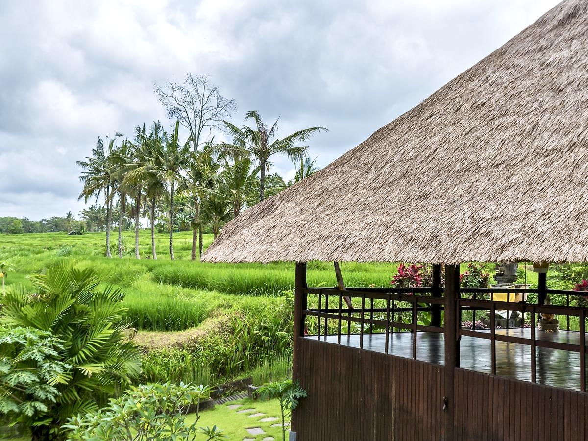 Hotel Villa Ubud 外观 照片
